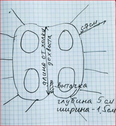 Попона для кошки после стерилизации