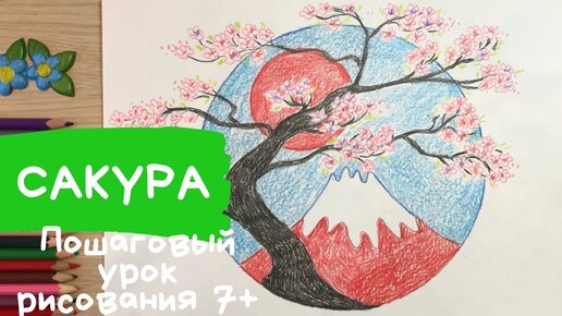 Сакура рисунок. Япония рисунок Как нарисовать Японию нарисовать сакуру  цветущее дерево весна рисунок. Карандаши и краски | Карандаши и краски |  Дзен