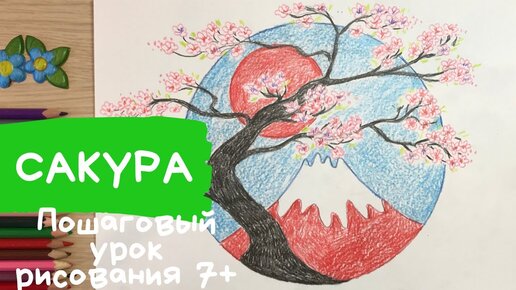 Рисунок сакуры, дикой вишни с помощью картины по номерам