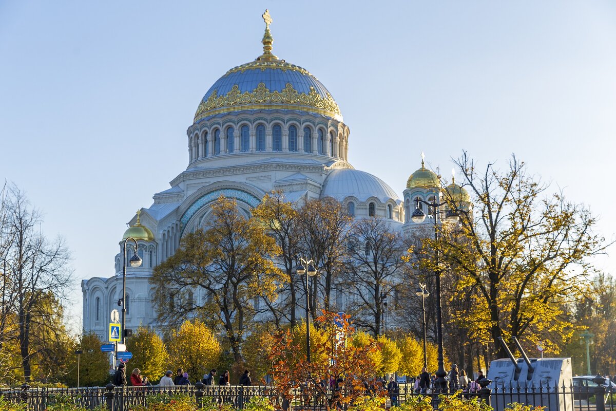Pixabay License
Бесплатно для коммерческого использования автор LuidmilaKot
