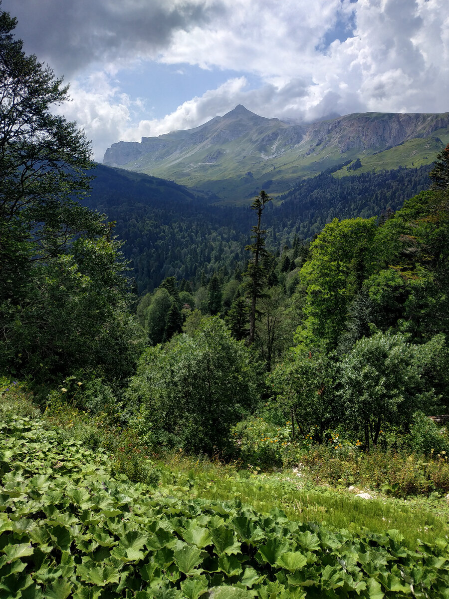 Прогулки по плато Лаго-наки