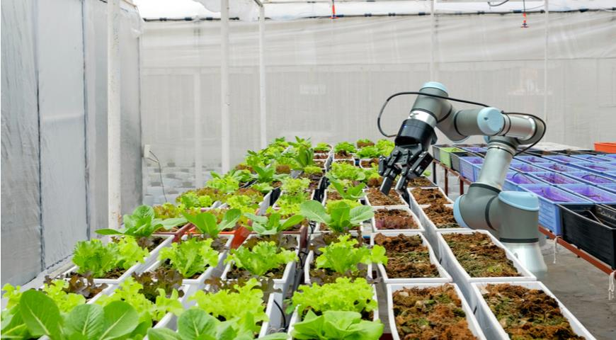 Источник картинки - www.gastronom.ru