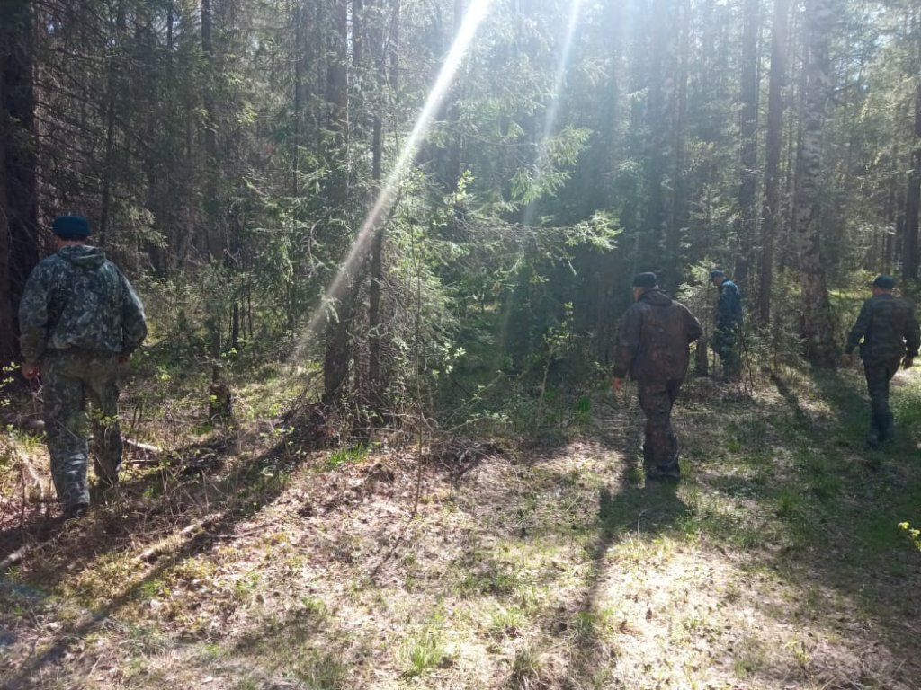 Человек потерялся в лесу