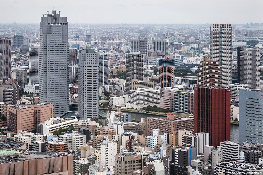 Маленький токио. Маленький Нью Йорк в Москве. Little Tokyo New York. Токио маленькое фото.