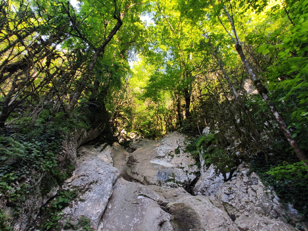 Поселок гуамка фото. Лагонаки гуамское ущелье. Гуамское ущелье, хутор гуамка. Хутор гуамка. Гуамка достопримечательности и развлечения.