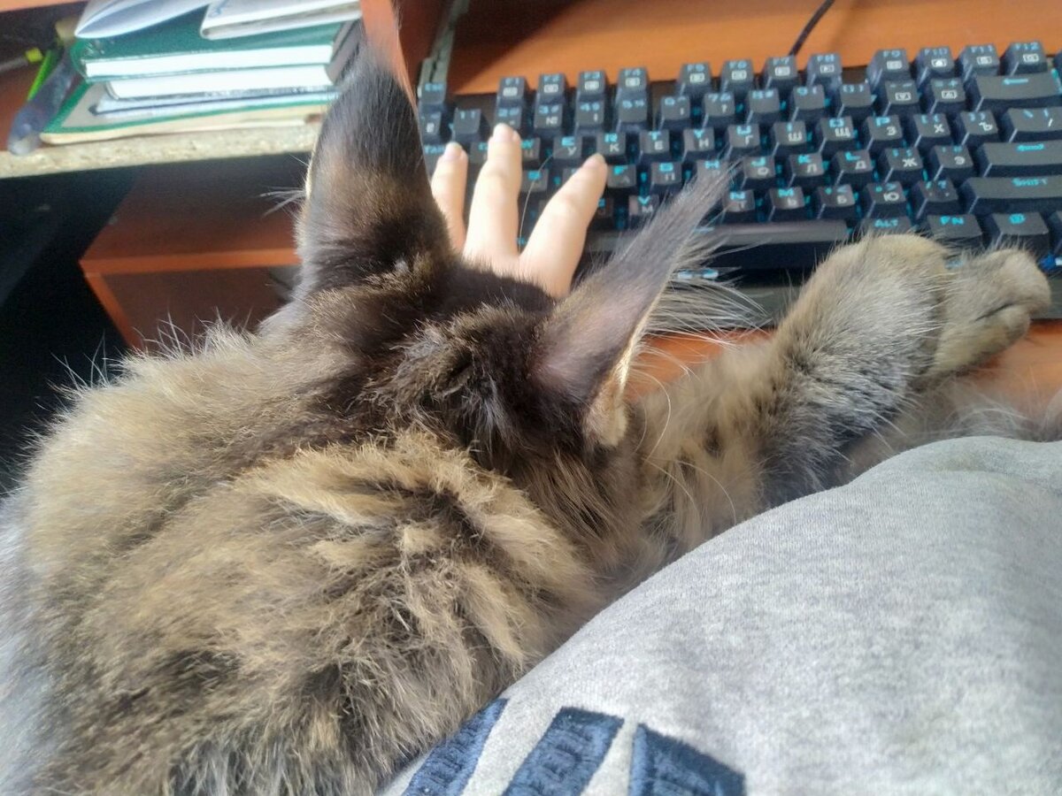 В смысле ты работаешь? Мне удобно спать так!