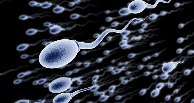     Больше 260 человек обвинили врача-репродуктолога в том, что вместо донорской спермы он вводил пациенткам свою