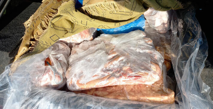    В Оренбуржье пытались незаконно провезти 15 тонн мороженой воблы из Казахстана Кристина Просвиркина