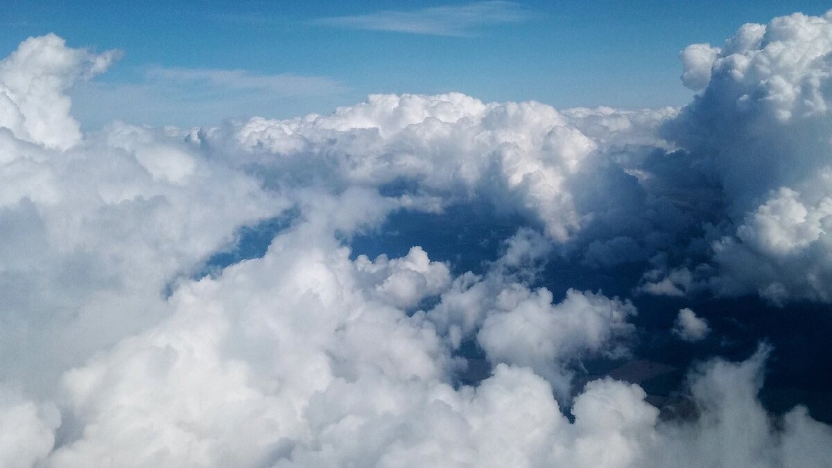     Уходящая неделя запомнится жителям республики большим обманом иностранцев и скандалом с бездомными животными.