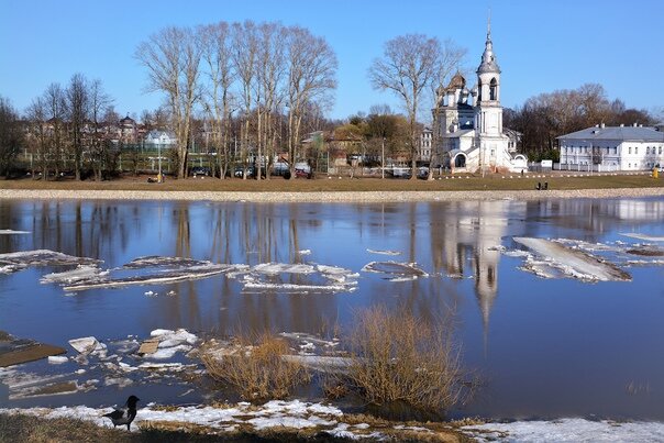 фото из интернета. Ранняя весна.