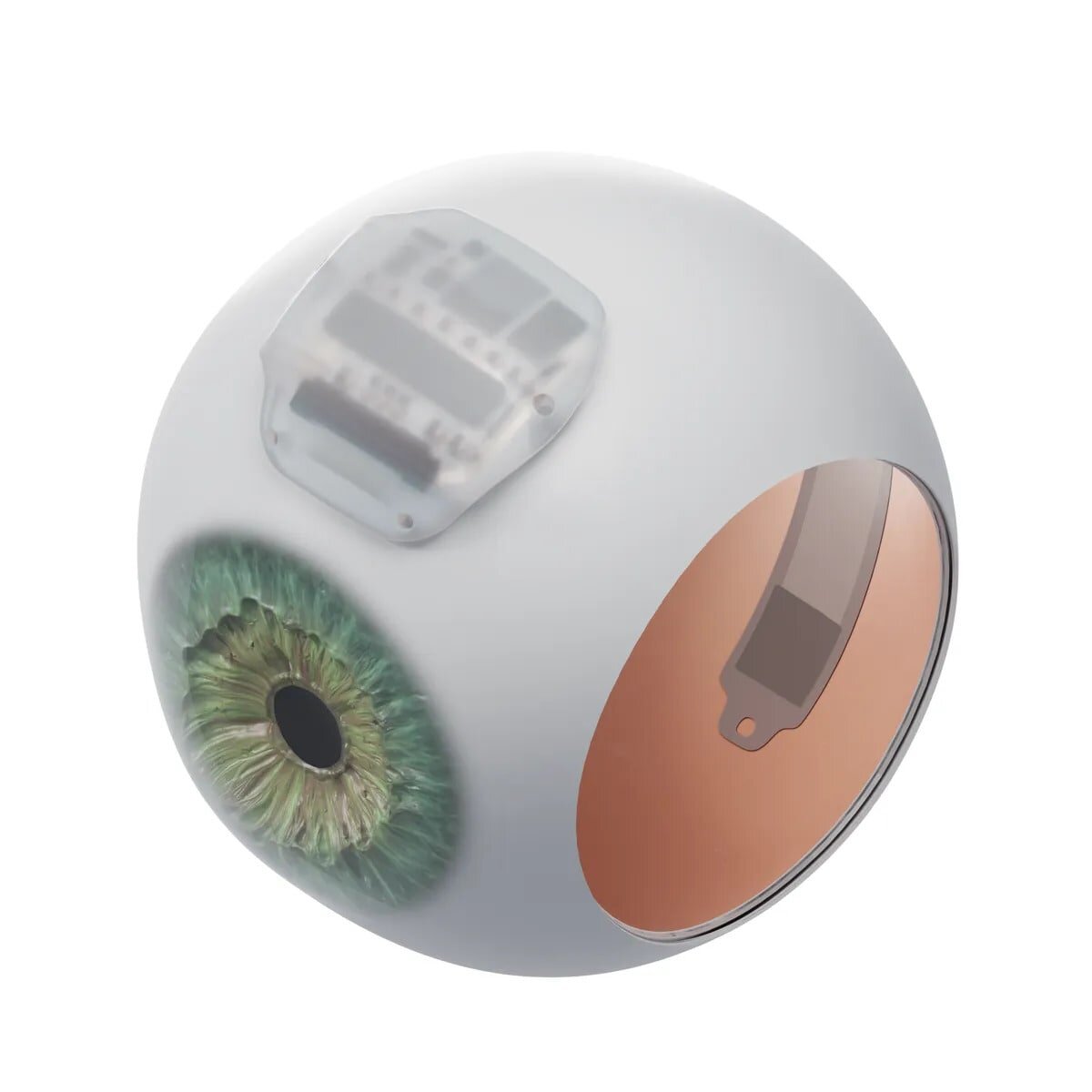 Фото взято с официального сайта Science Eye