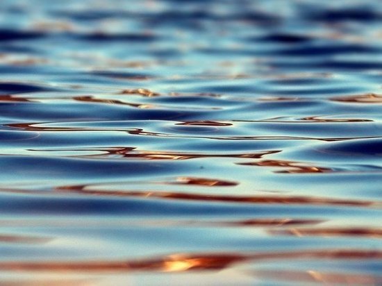     фото: pixabay.com