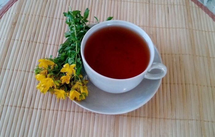 Отвар зверобоя используют в народной медицине и косметологии