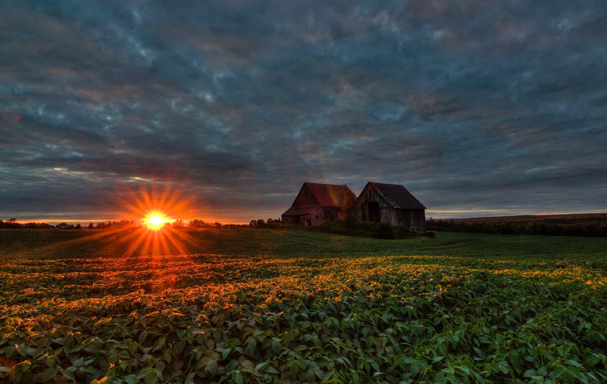 с сайта avto.goodfon.ru