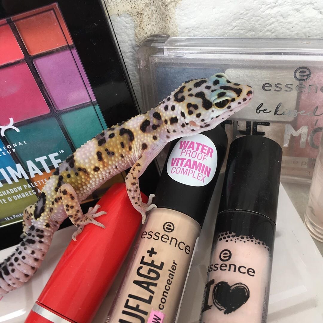 Тааак... Чем сегодня накрашусь?:)