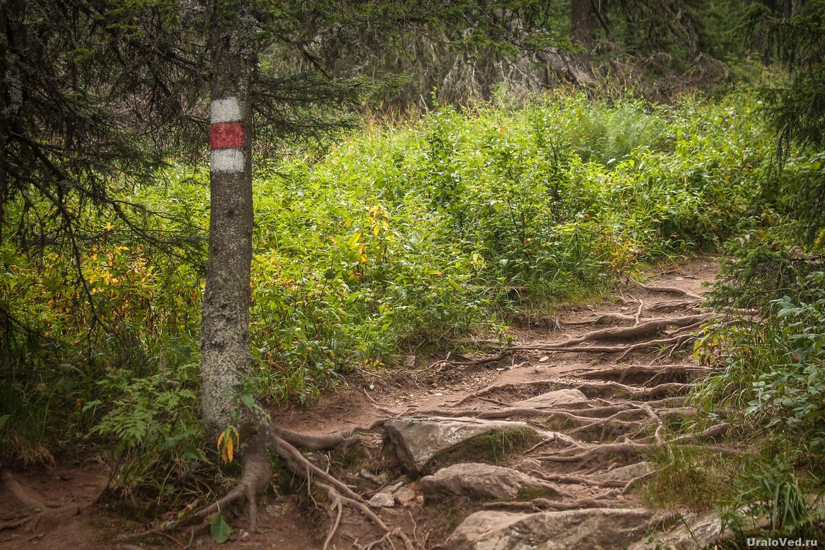 Тропа на Иремель промаркирована