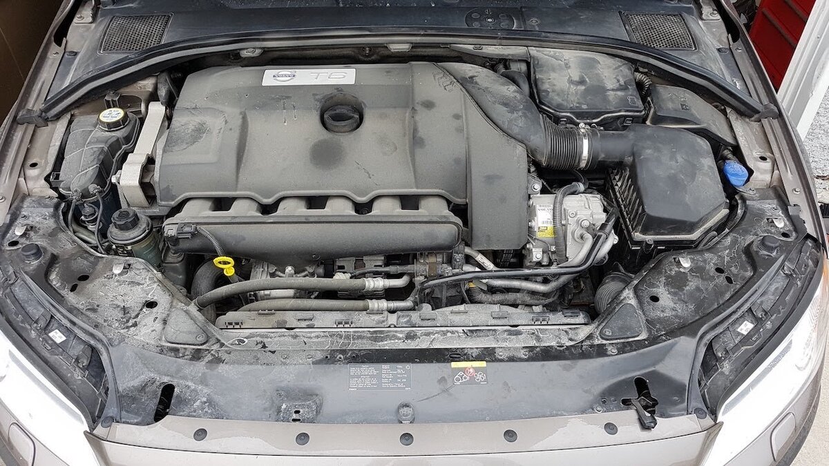 Фото взято из открытых источников