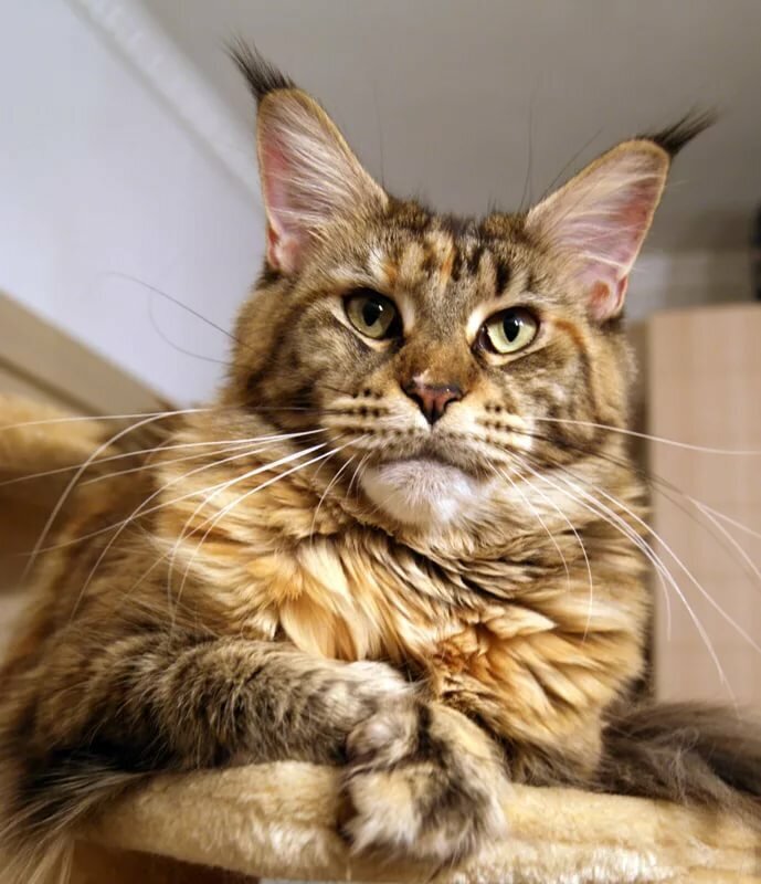 Фото из  интернет.