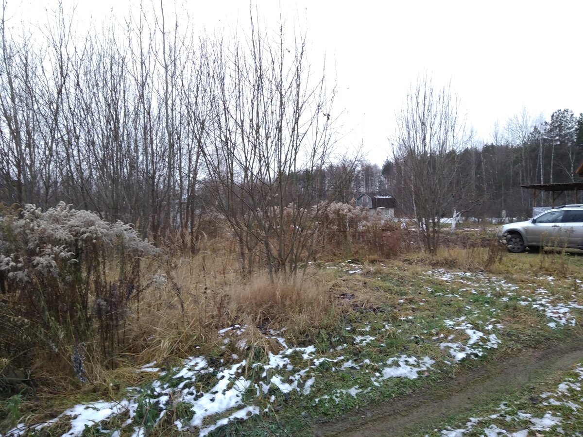 Вид на участок До