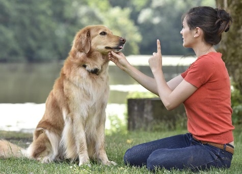 фото из открытого источника