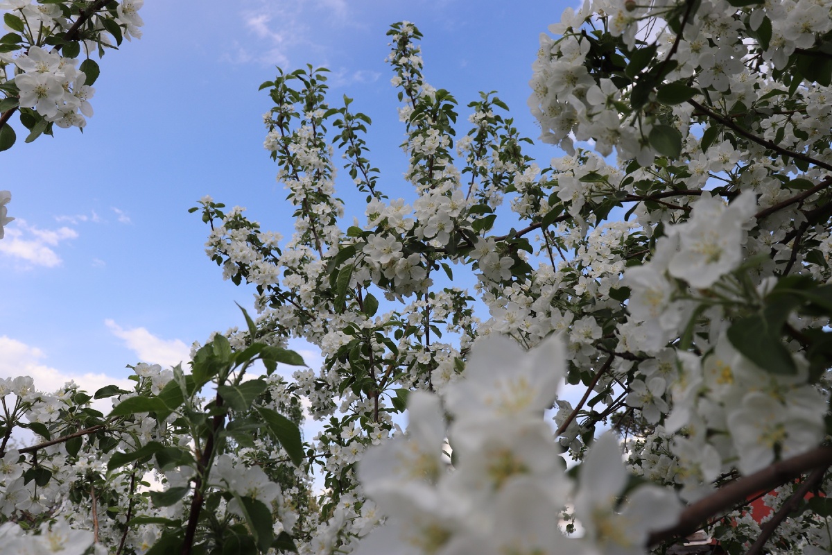 Родные просторы!