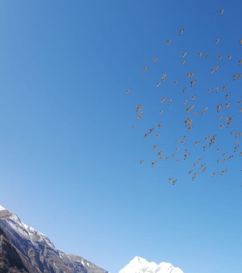 Трек вокруг Аннапурны. День 4