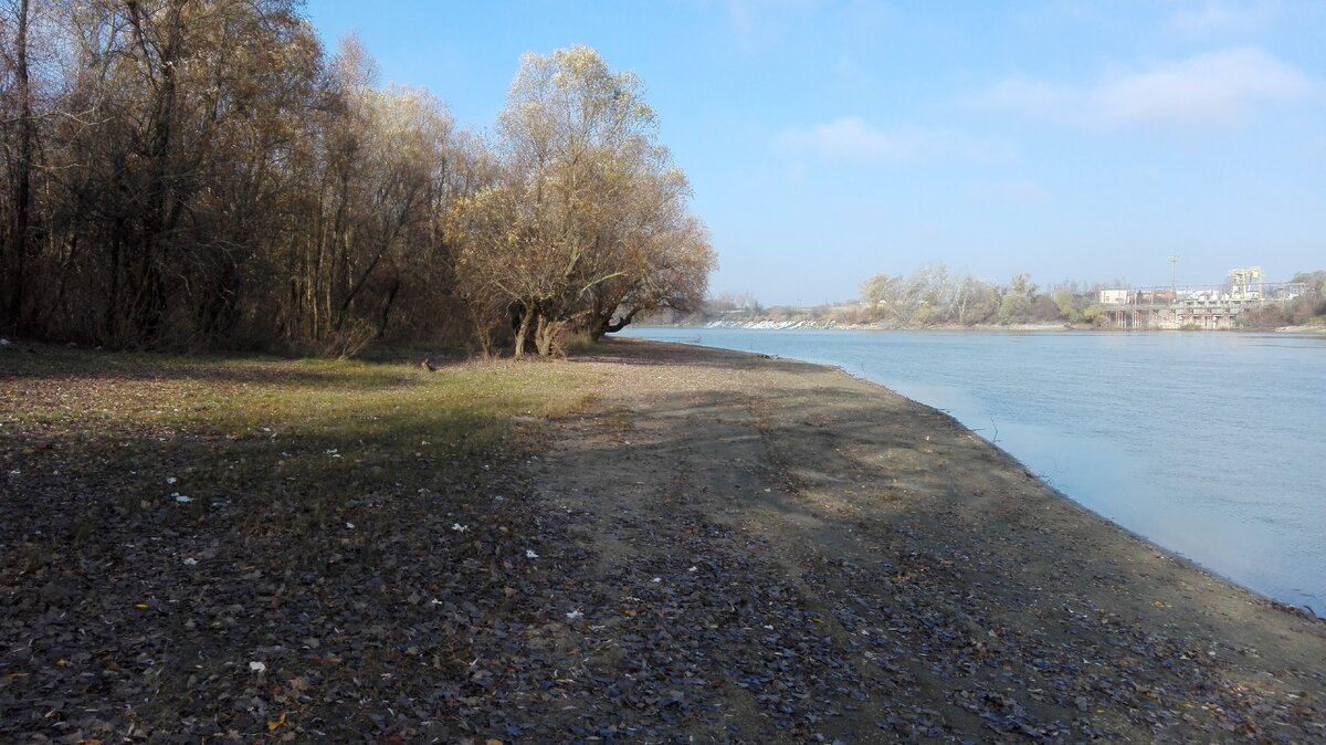 Температура воды в реке кубань