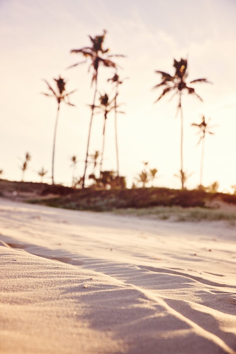 Фото взято из открытых источников