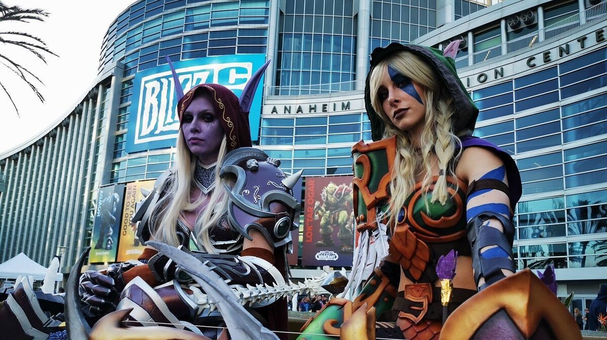 Взято с Яндекс Картинок (https://www.merlininkazani.com/images/games/11999/BlizzCon-2020-iptal-edildi-Online-etkinlik-2021-basinda_1.jpg)