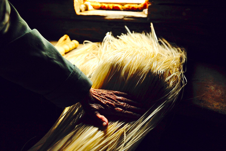 «Смотри, смотри, какое у меня вышло мочало! – жительница деревни Мария Алексеевна ласково проводит рукой по свежим лыковым прядям, словно по волосам. – Шелковистое и белое... А знаешь почему? Потому что три месяца, на песочке отмокая, нежилось, а не среди ила, как у других». Фото: Марина Маковецкая.