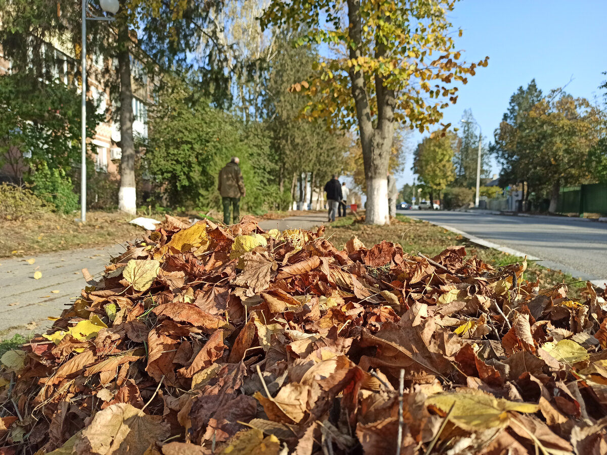 Ленинградское сельское поселение