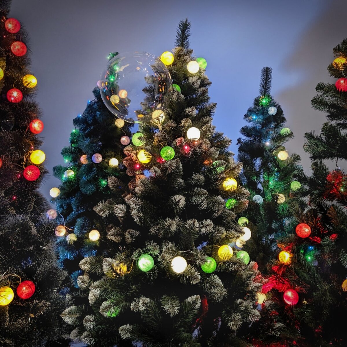 фото от pandaphoto