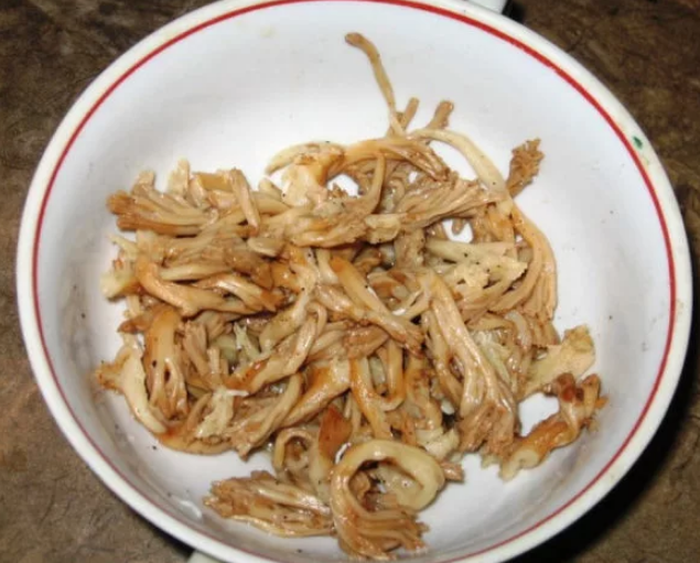 Жареный рогатик