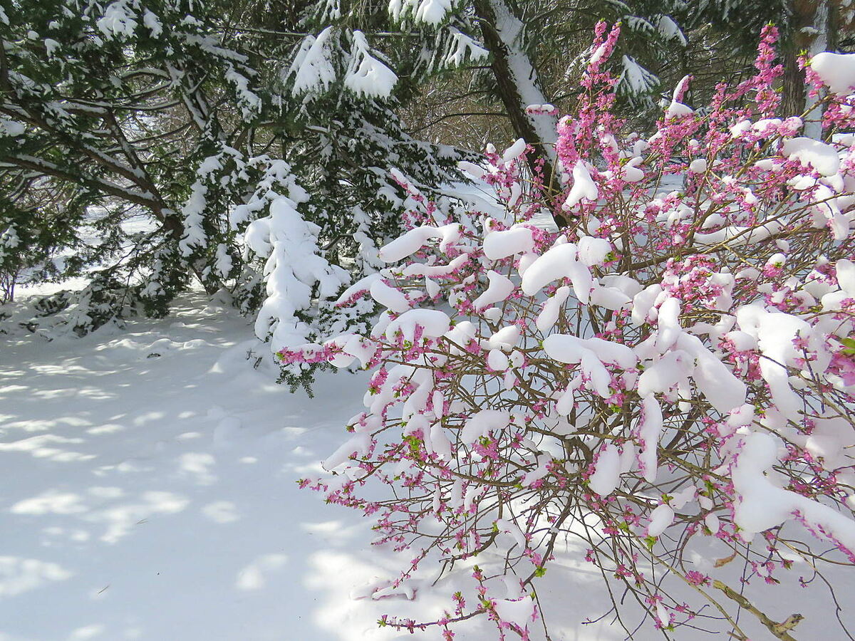 Фото из интернета.