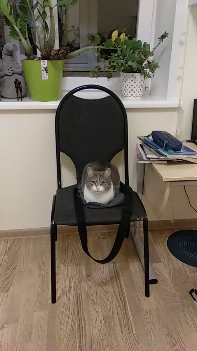 Буся - линючка