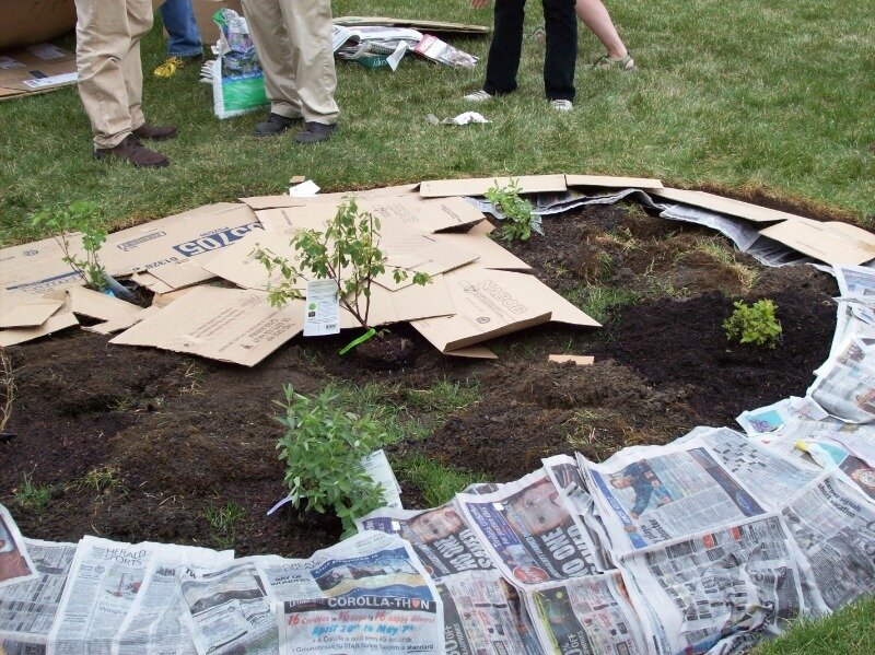 Иточник фото https://build-experts.ru