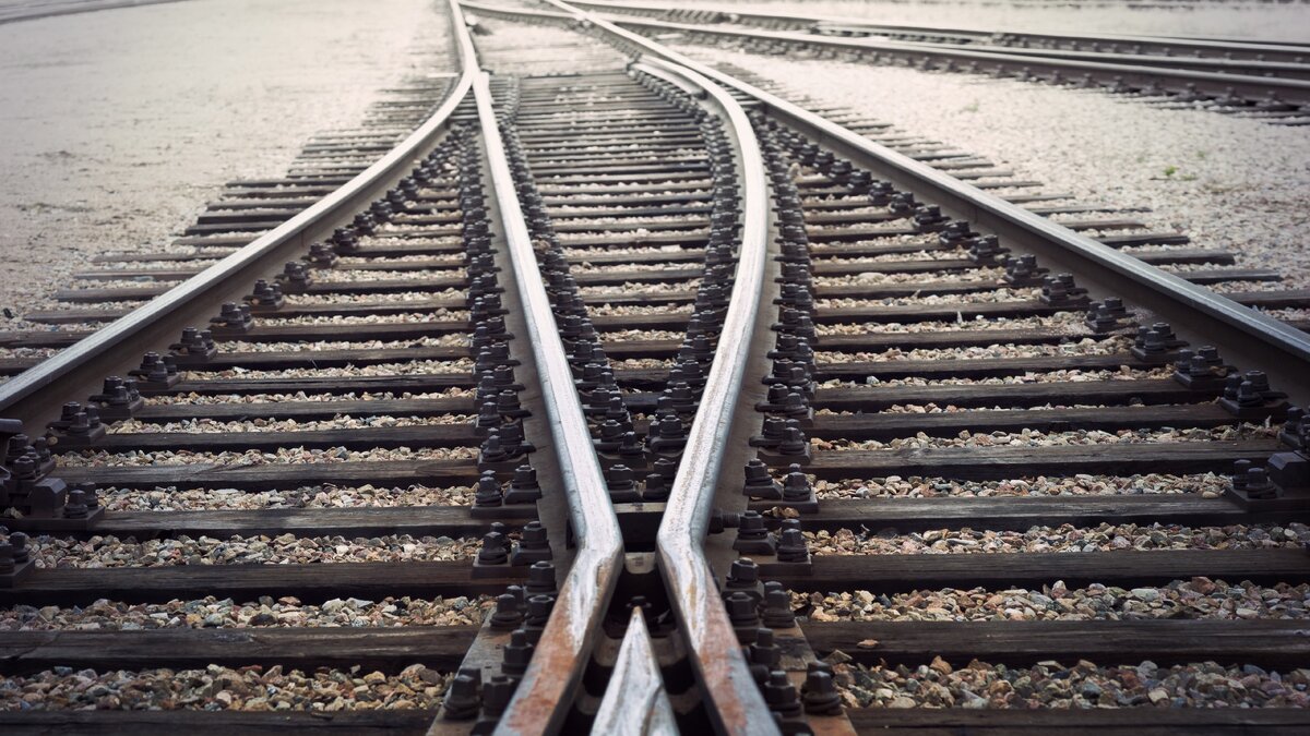 Куда идем мы....