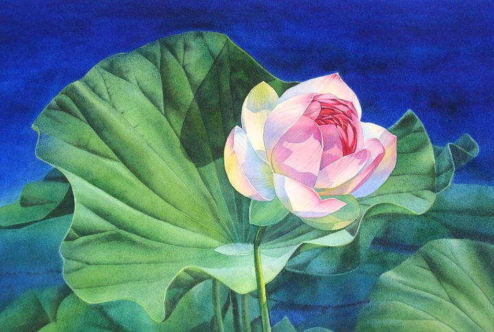 фото:https://www.tuttartpitturasculturapoesiamusica.com/2011/12/barbara-fox-american-watercolor-painter.html