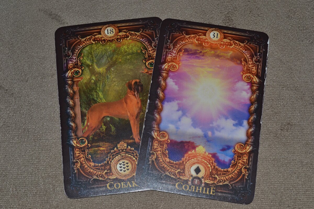 1 вариант - Собака и Солнце