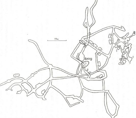 Схема ходов. Скановы пещеры на карте. Столбистские ходы схема. Схема ходов дендроктона. Карта Махневского пещерного комплекса.