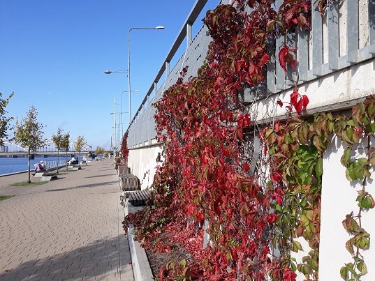 Рига, 8 октября 2020