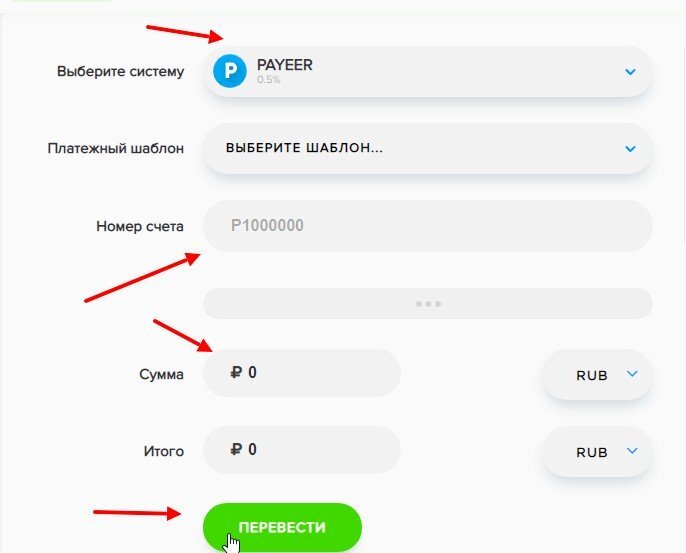 Payeer. как выглядит авито получение денег. номер аккаунта payeer. пополнить payeer. электронный кошелек пайер.