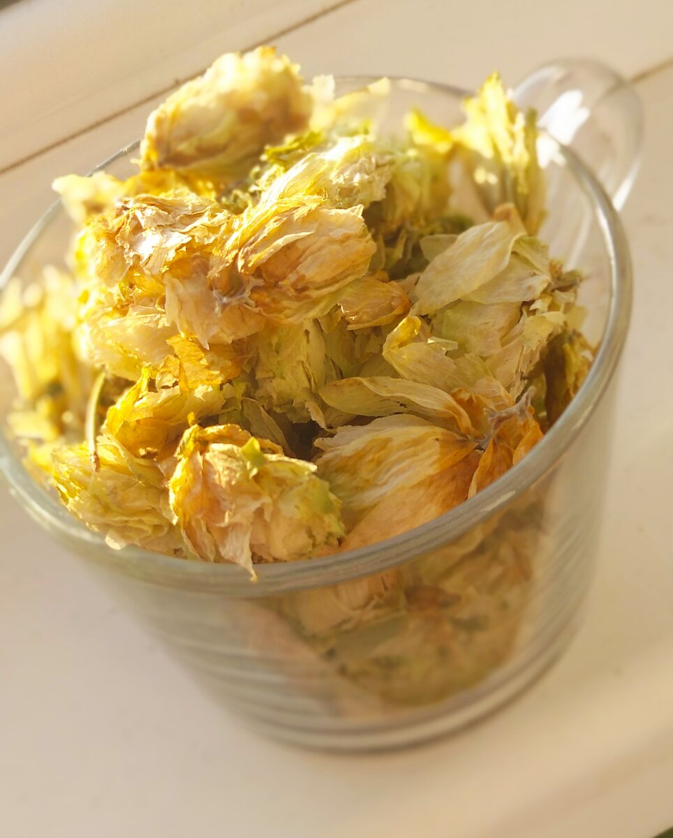 Чувашский хмель