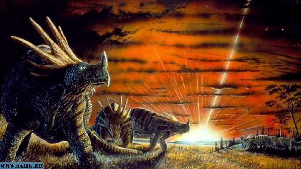 Источник www.salik.biz