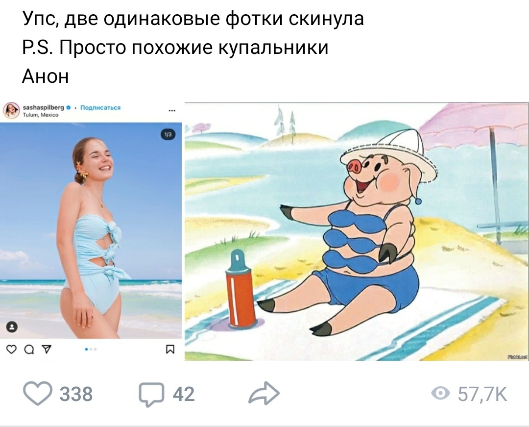 Свинья на пляже ну погоди картинка