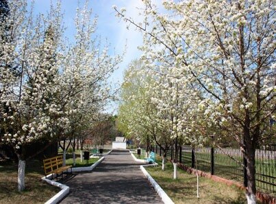 а на улице - весна! 