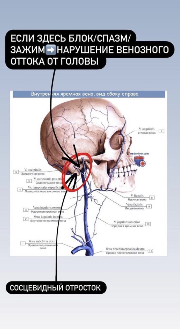 Нарушение венозного оттока шеи