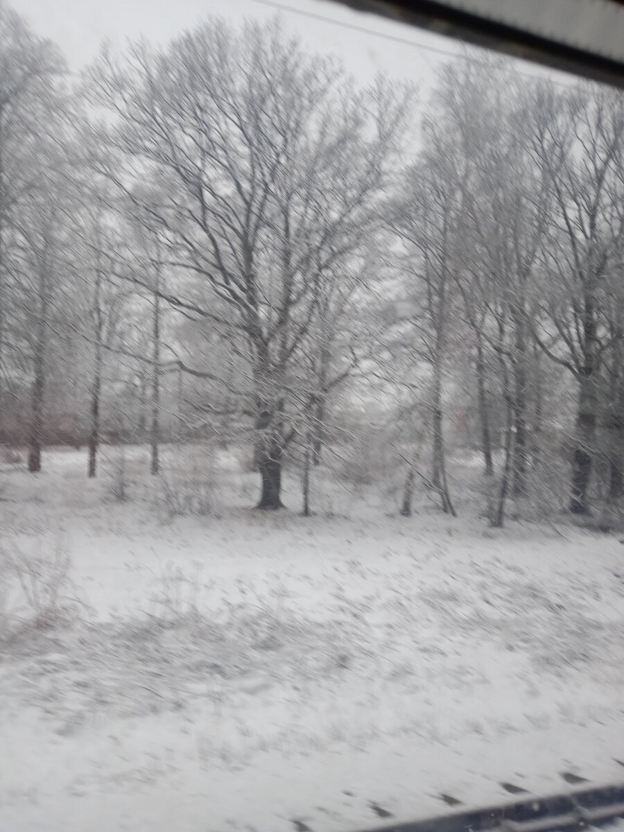 11.04.19 Вид из электрички..снегопад.