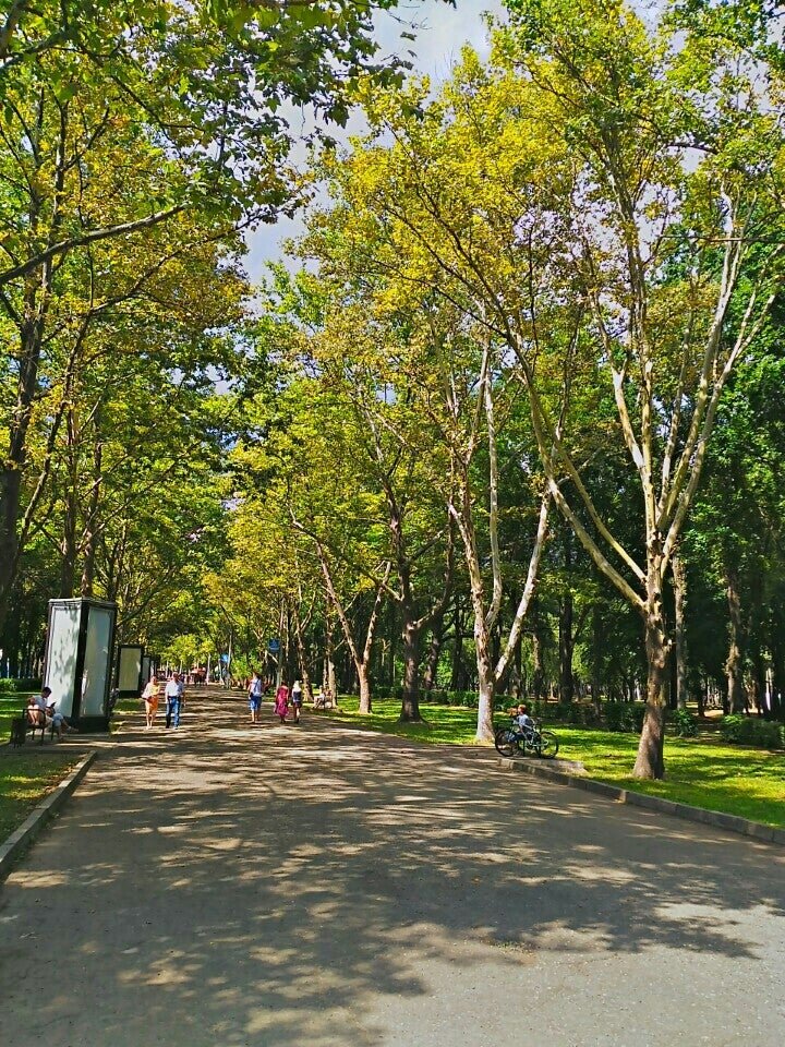 Солнечный парк краснодар фото