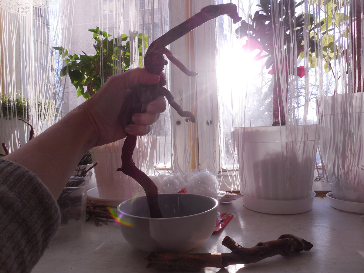 Тоже неплохо, но...